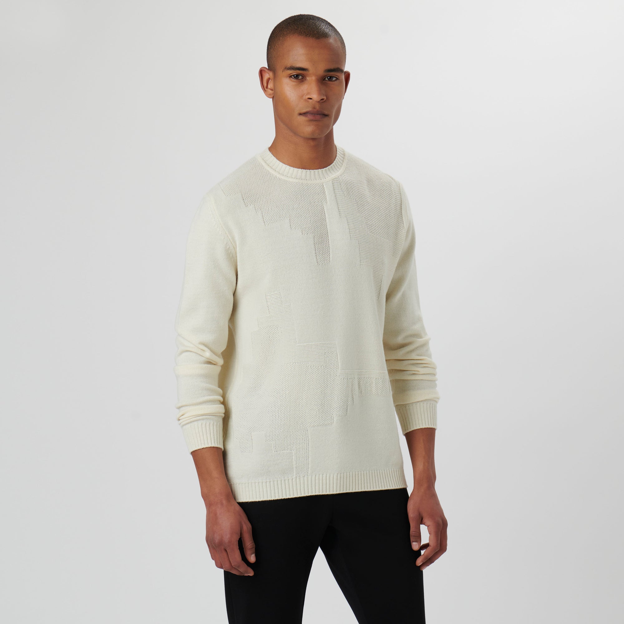 Solid Jacquard Crew Neck Sweater