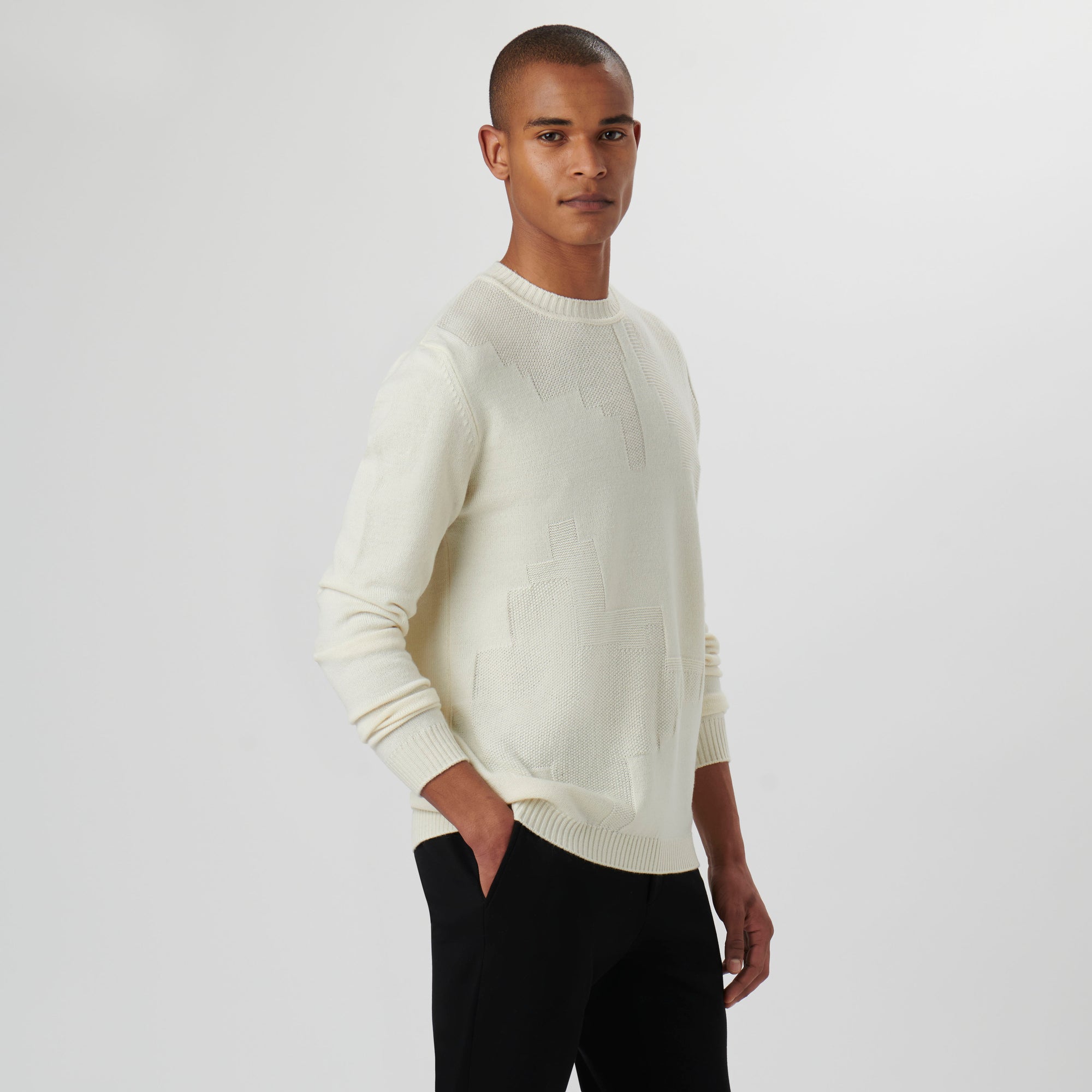 Solid Jacquard Crew Neck Sweater