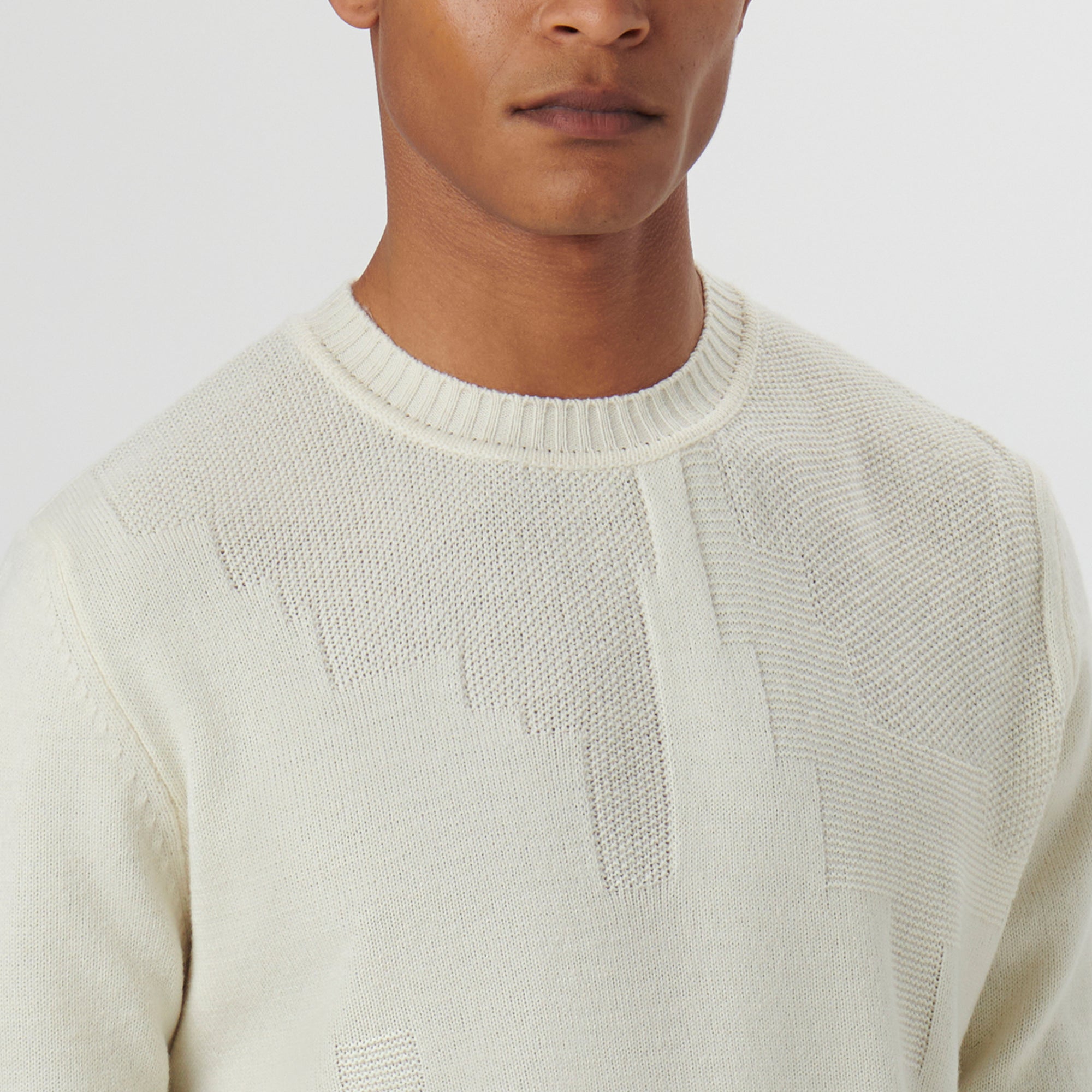 Solid Jacquard Crew Neck Sweater