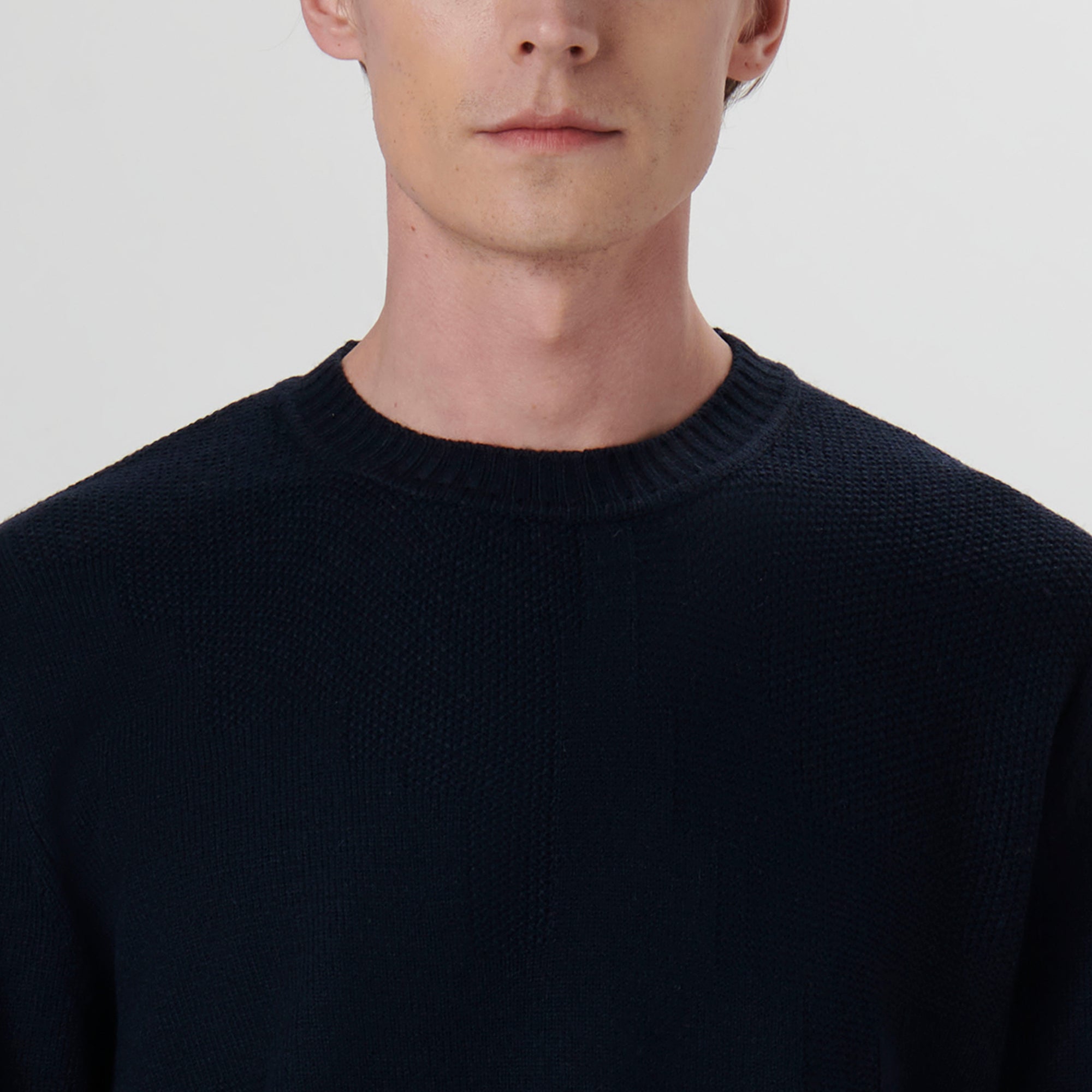 Solid Jacquard Crew Neck Sweater