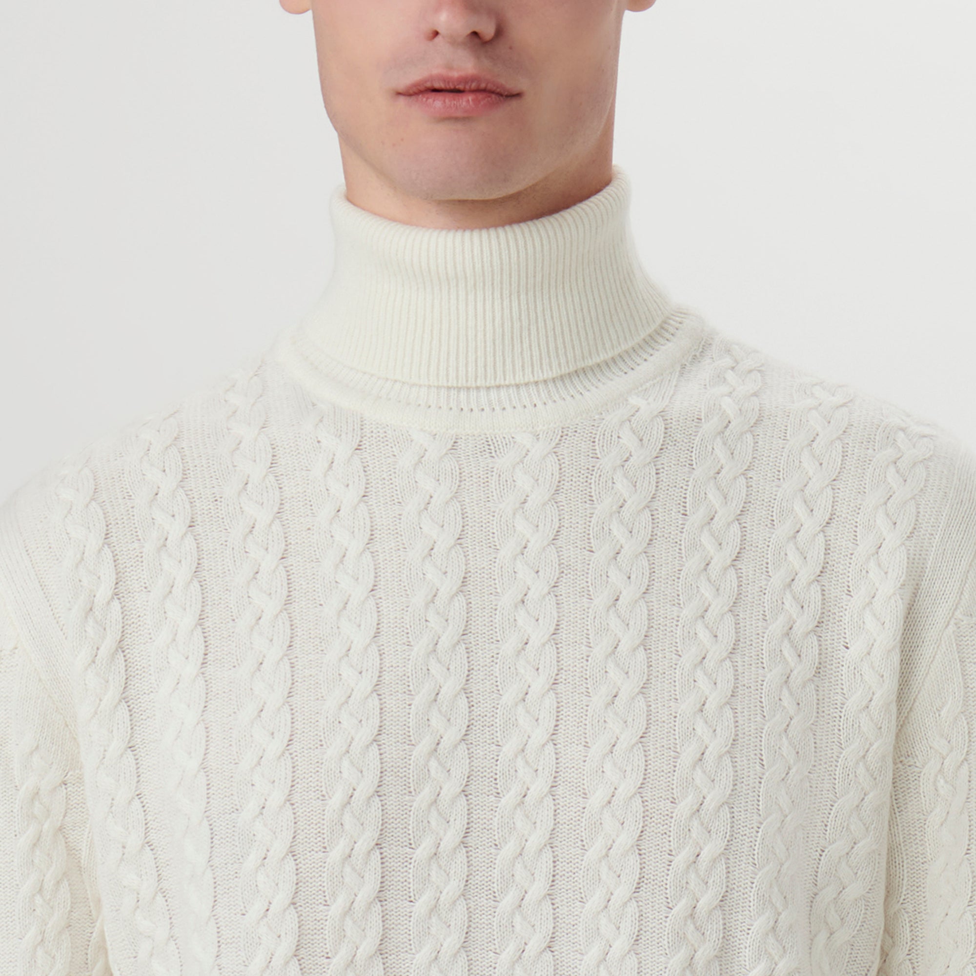 Solid Cable Turtleneck Sweater