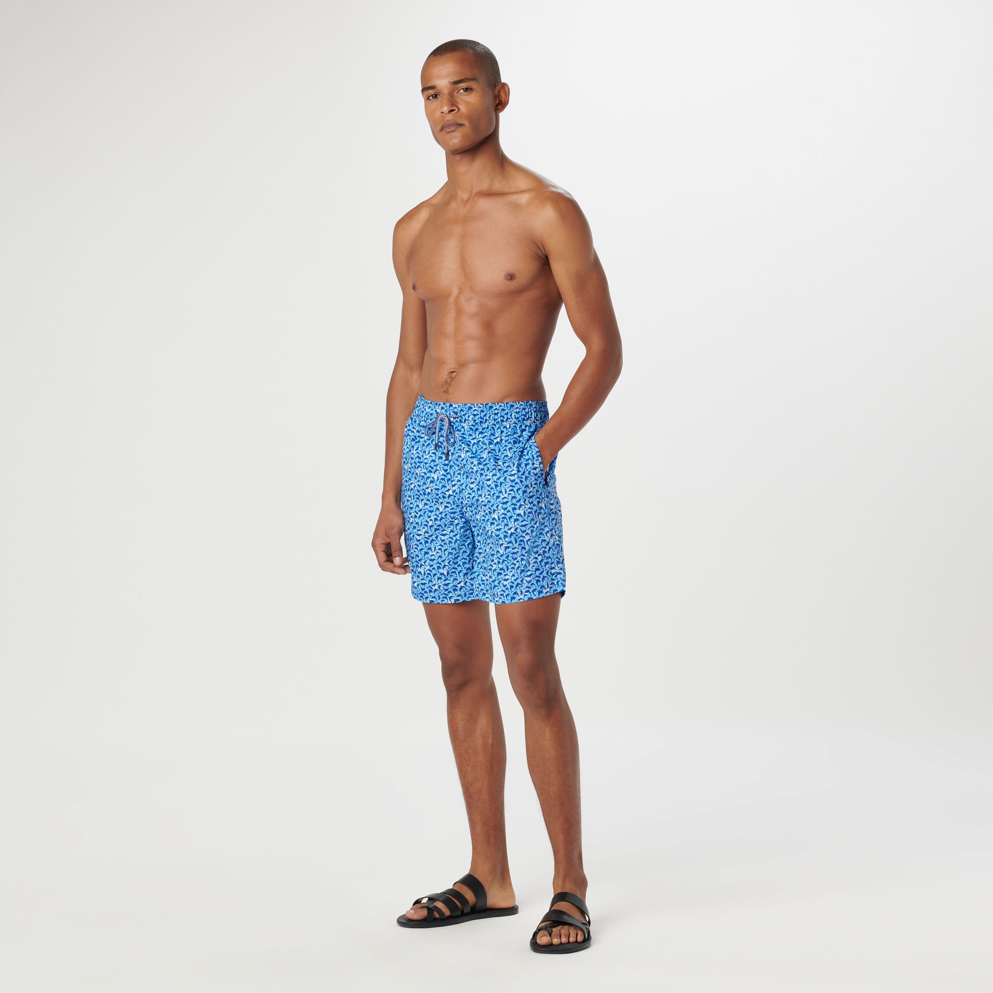 Cosmo Dolphin Swim Trunks
