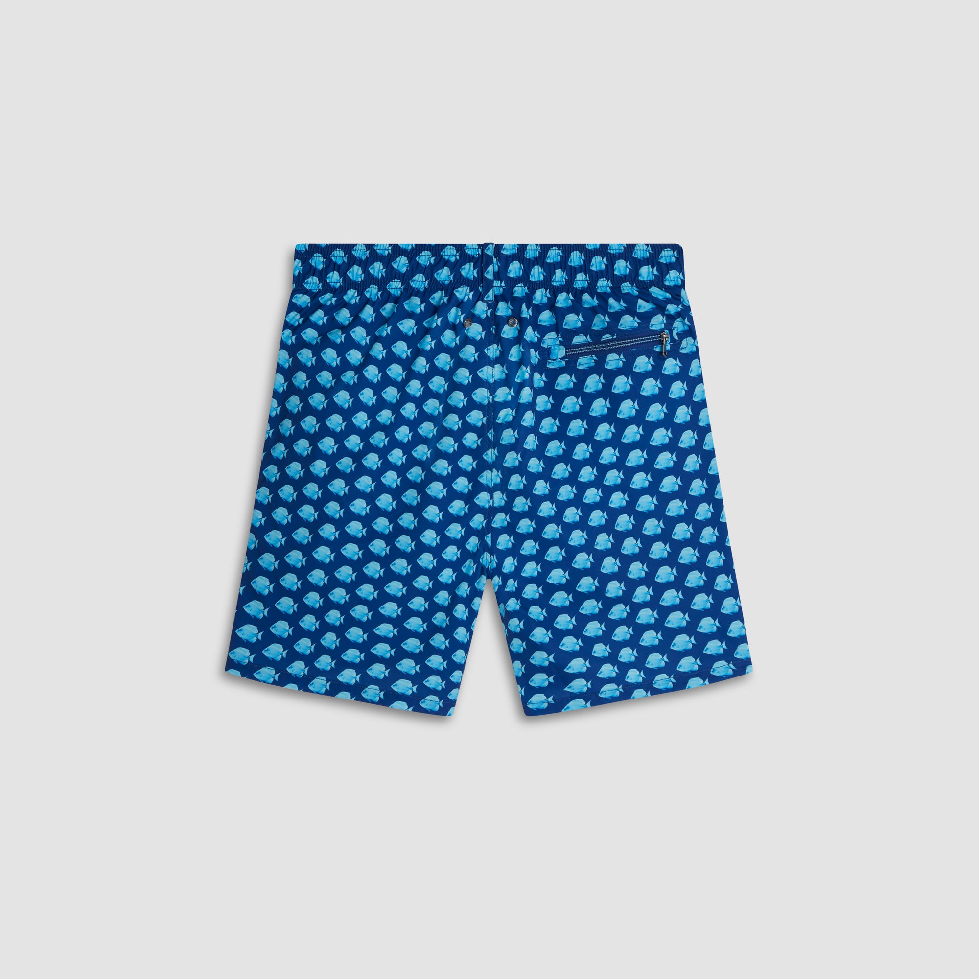 Adrian Fish Swim Trunks