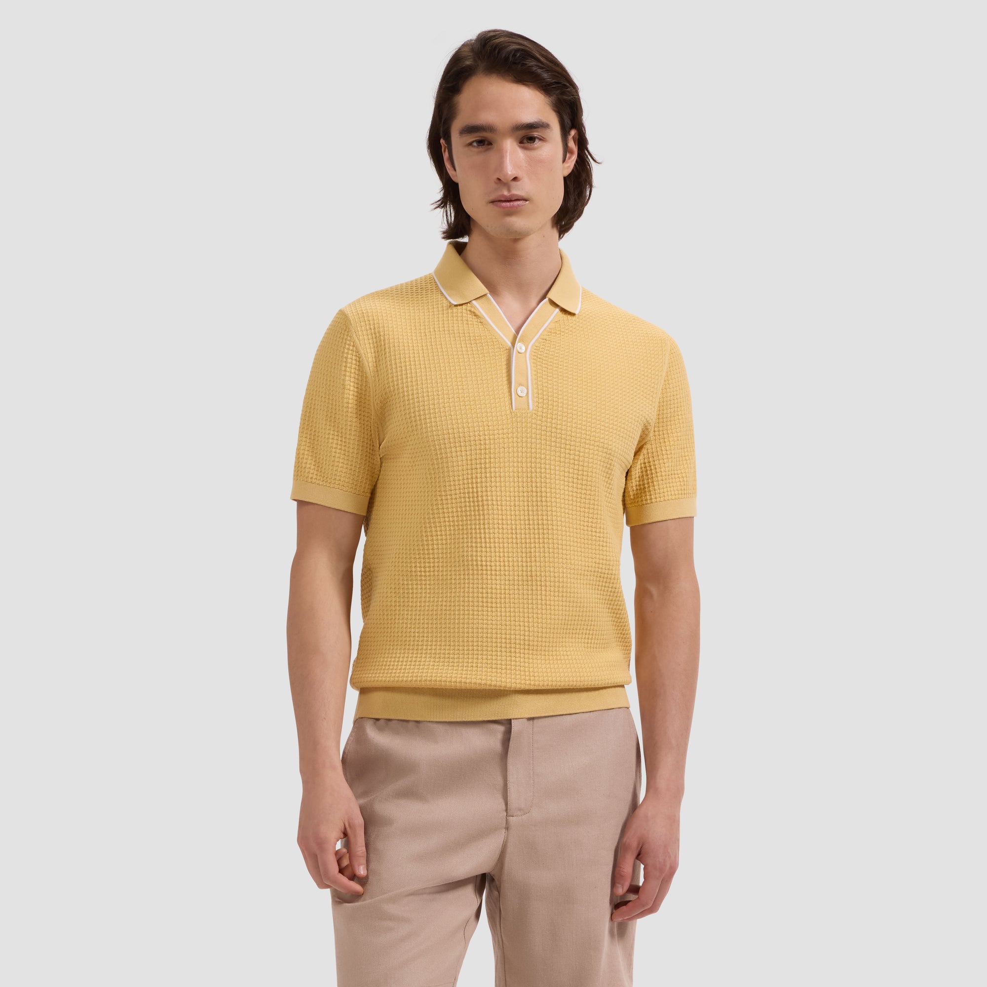 Waffle Knit Johnny Collar Short-Sleeve Sweater