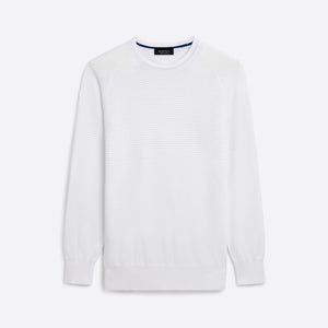 Solid & Stripe Combo Crew Neck Sweater